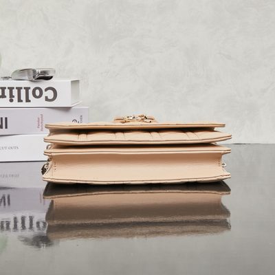 Dior Bag — 4