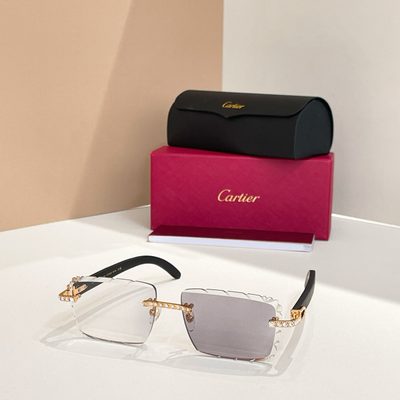 Cartier Sunglasses — 7