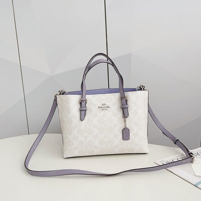 Coach Bag — 24