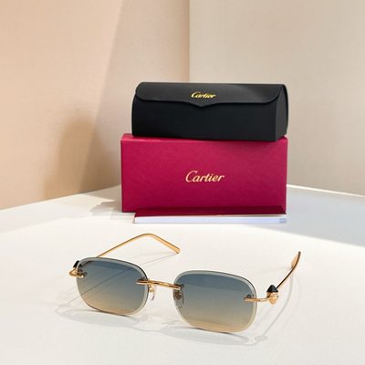 Cartier Sunglasses — 4