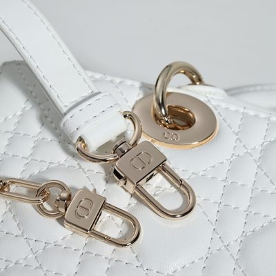 Dior Bag — 4