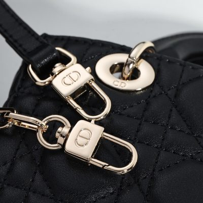 Dior Bag — 5