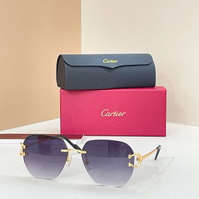 Cartier Sunglasses — 5