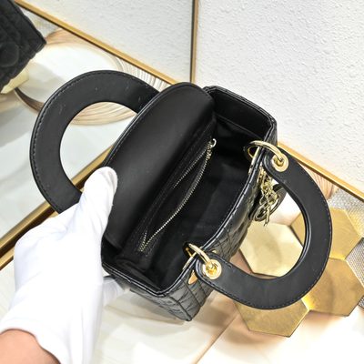 Dior Bag — 6