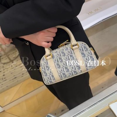 Dior Bag — 7