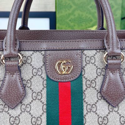 Gucci Bag — 7