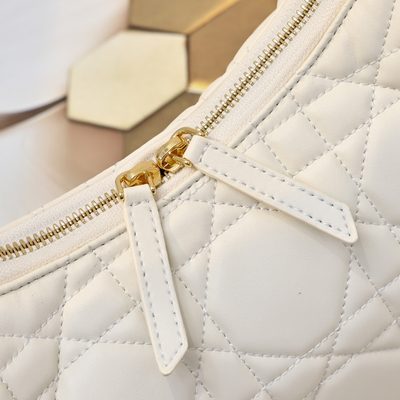 Dior Bag — 7