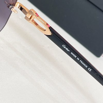 Cartier Sunglasses — 7