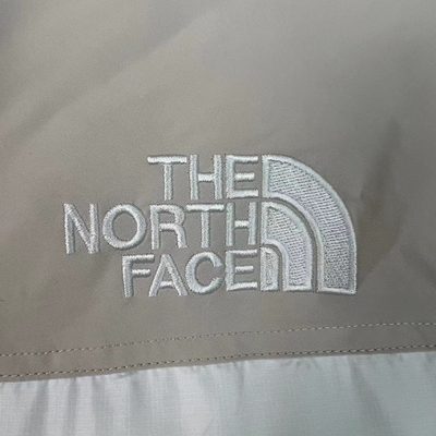 The North Face 1996 Retro Nuptse Down Jacket — 5