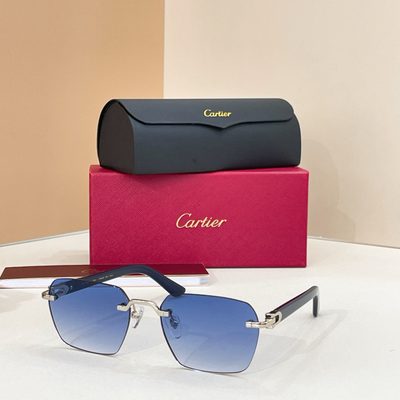 Cartier Sunglasses — 5