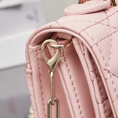 Dior Bag — 6