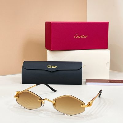 Cartier Sunglasses — 6