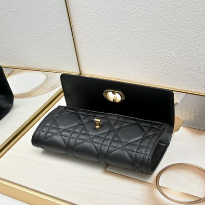 Dior Bag — 7