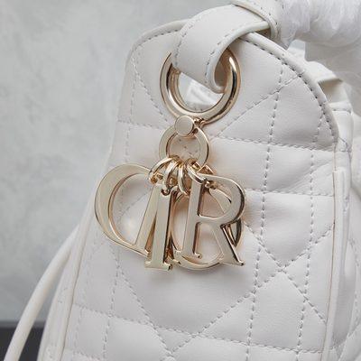 Dior Bag — 5