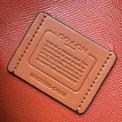 Coach Bag — 31