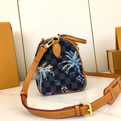 Louis Vuitton Bag — 5
