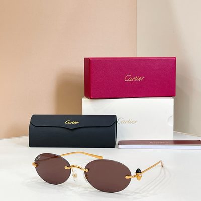 Cartier Sunglasses — 8