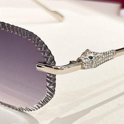 Cartier Sunglasses — 9