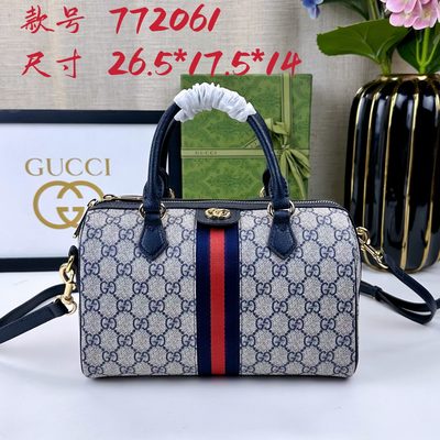Gucci Bag