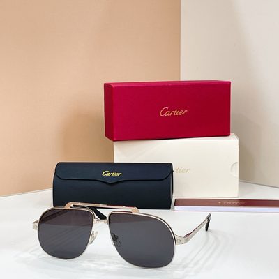 Cartier Sunglasses — 7