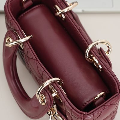 Dior Bag — 6