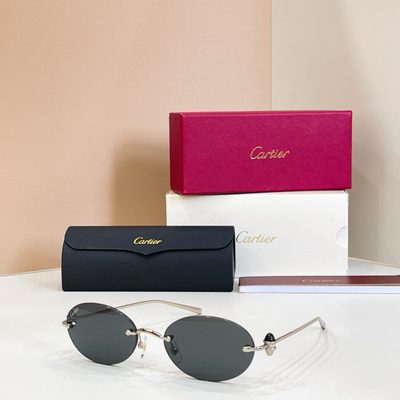 Cartier Sunglasses — 3