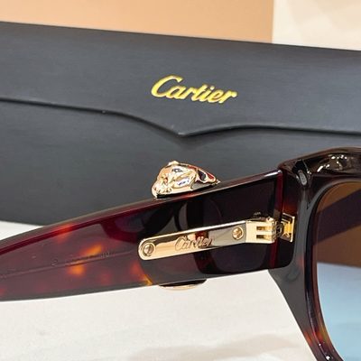 Cartier Sunglasses — 6