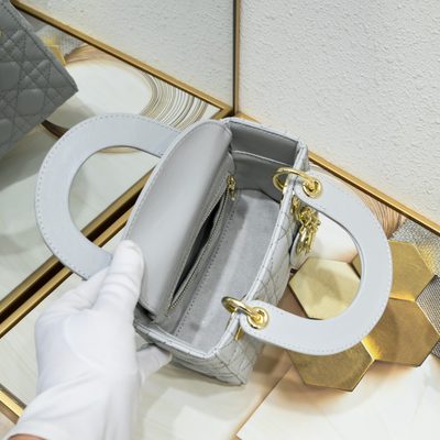 Dior Bag — 7