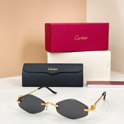 Cartier Sunglasses — 7