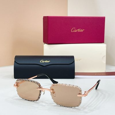 Cartier sunglasses