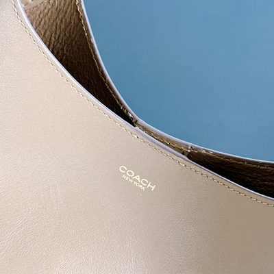 Coach Bag — 6