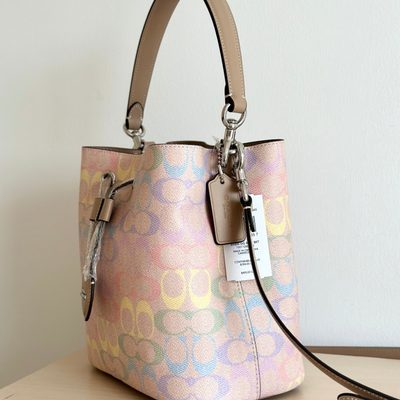 Coach Bag — 3