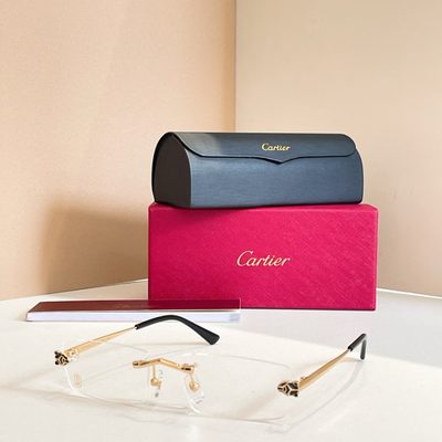 Cartier Sunglasses — 7
