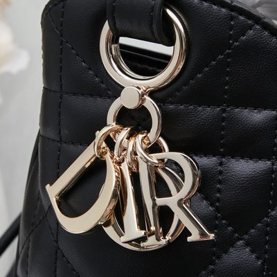 Dior Bag — 6