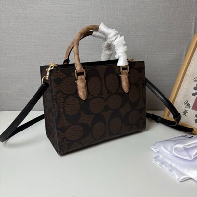 Coach Bag — 4