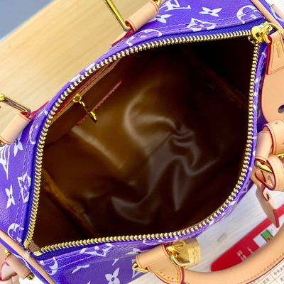 Louis Vuitton Bag — 9