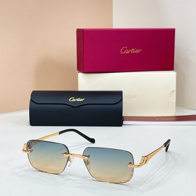 Cartier sunglasses — 7
