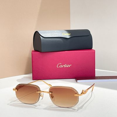 Cartier Sunglasses — 4