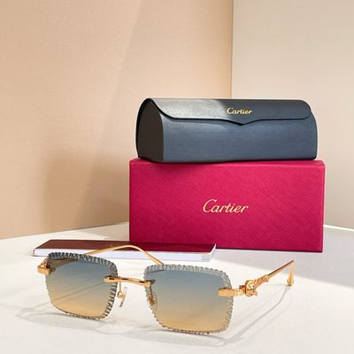 Cartier Sunglasses — 8