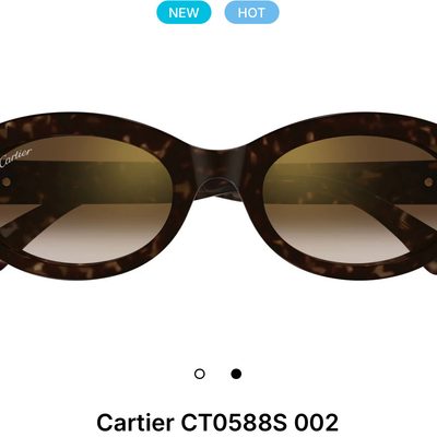 Cartier Sunglasses — 3