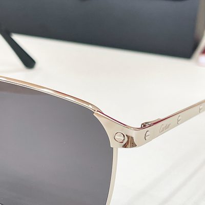 Cartier Sunglasses — 7