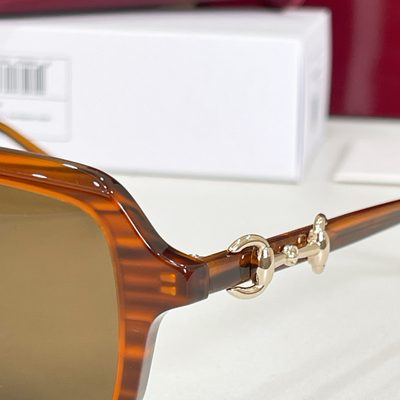 Gucci Sunglasses — 6