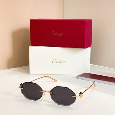 Cartier Sunglasses — 3