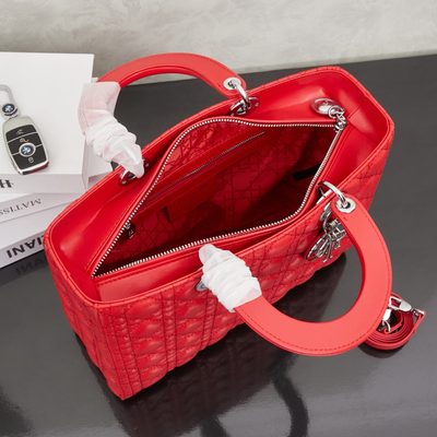 Dior Bag — 8