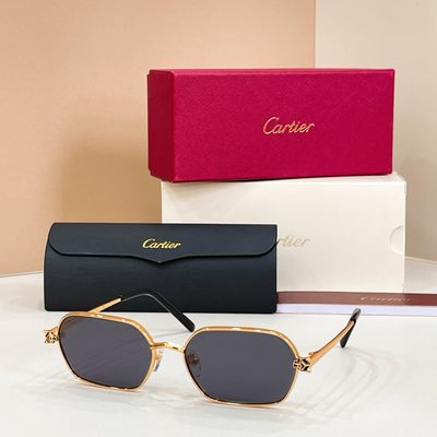 Cartier Sunglasses — 8