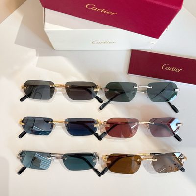 Cartier Sunglasses — 8