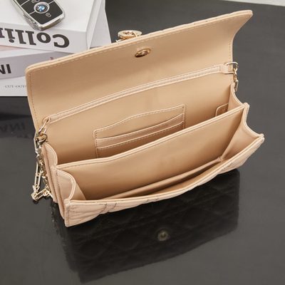 Dior Bag — 9