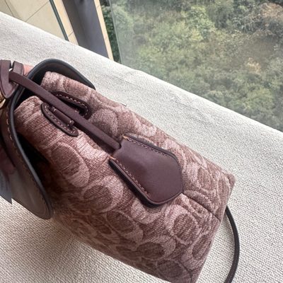 Coach Bag — 4