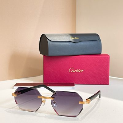 Cartier Sunglasses — 7