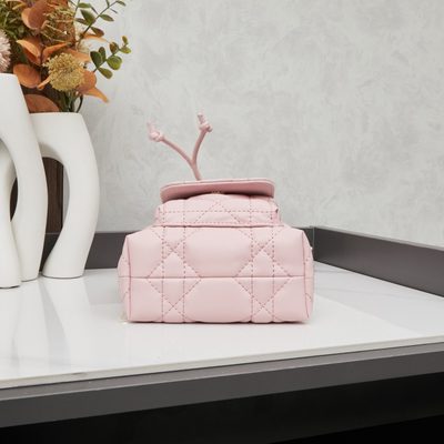 Dior Bag — 5